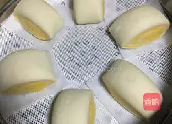 Dual Color Illustration of how to make steamed buns 9