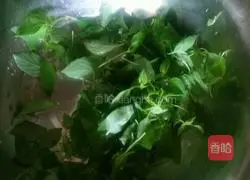 Tomato, egg and nepeta noodles Illustration of how to do it 1