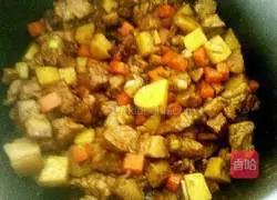 Illustration of Braised Pork, Mushrooms and Carrots with Rice 7