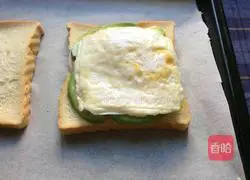 Avocado Sandwich Recipe Illustration 10