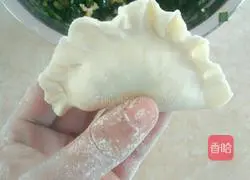 Illustration of how to make fancy dumplings 14