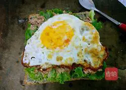 Tuna sandwich recipe 11