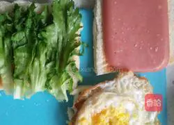 Egg and ham sandwich recipe 5