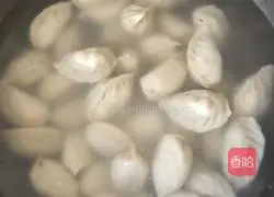 Illustration of how to make vegetarian dumplings 7