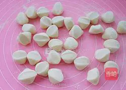 Bitter melon dumplings recipe 10