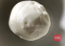 Illustration of how to make crystal dumplings 1