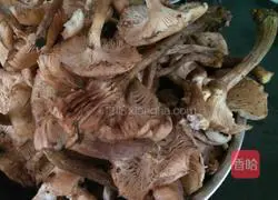 Illustration of how to make Northeast Mushroom Chili Pork Dumplings 1 