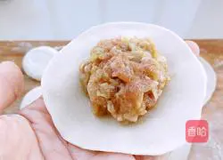 New Year's Eve dinner_Illustration of how to make pork dumplings 10