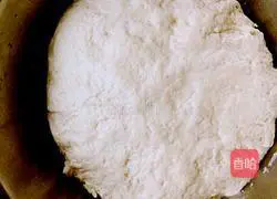 Illustration of how to make cabbage and pork dumplings 2