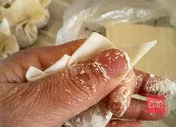 Illustration of how to make fungus meat wontons 11