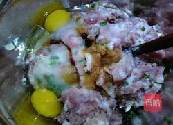 Illustration of how to make leek and pork dumplings 2