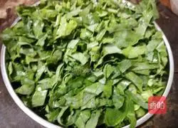 Illustration of how to make kale fried rice 2