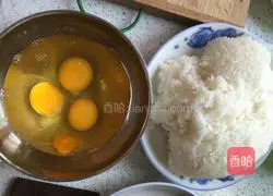 Egg Fried Rice Recipe Illustration 3