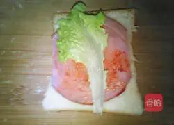 Illustration of how to make homemade sandwiches 5