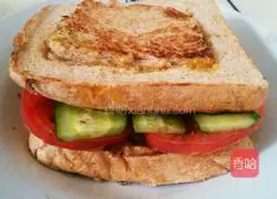 Eggs all Illustration of making wheat toast sandwich 5