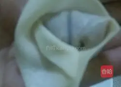 Illustration of how to make wontons 5