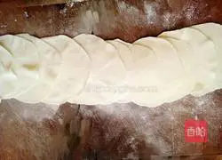 Spring Cake Illustration of how to do it 6