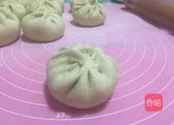 Illustration of Northeastern Sauerkraut and Pork Buns 11