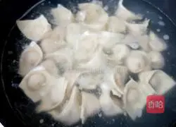 Illustration of Homemade Wonton Recipes 11