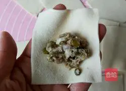 Illustration of how to make wontons 12