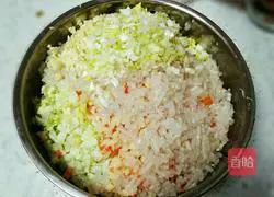 Illustration of home-style vegetarian dumplings 1