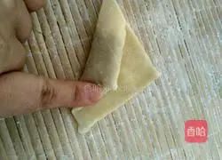 Illustration of how to make oyster mushroom and pork wontons 12