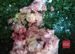 Illustration of making homemade dumplings 5