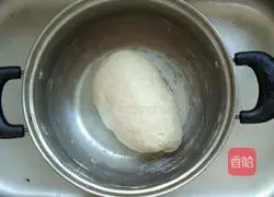 Sophora Flower Pork Dumpling Recipe Illustration 1