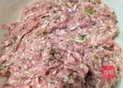 Illustration of how to make wontons 1