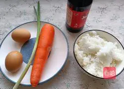 Soy sauce fried rice recipe 1