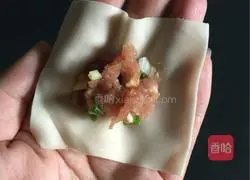 Illustration of how to make wontons 6