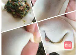 Pork and Shrimp Wonton Recipe Illustration 7