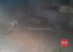 Illustration of how to make Sixi dumplings 2