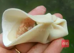 Liu Ye Dumpling's Practice illustration 9