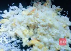 Egg Fried Rice Recipe Illustration 7