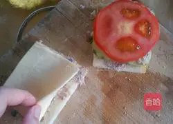 Tuna fish sandwich recipe 13