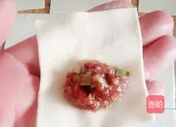 Yuanbao Wonton Wrapping Method Illustration 7