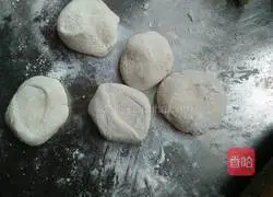 Illustration of how to make fish ball dumplings 4