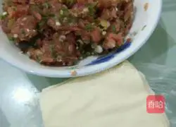 Illustration of how to make fried wontons 3