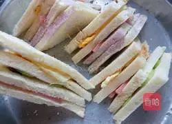 Nutritional sandwich recipes 7