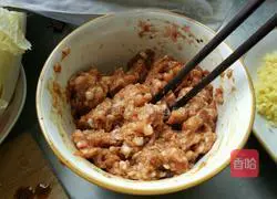 Illustration of how to make cabbage and pork dumplings 2