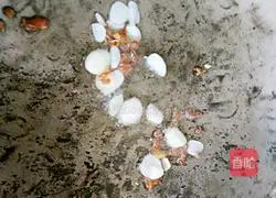 Illustration of how to make Zibo special braised pot cake 3