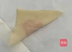 Illustration of how to make wontons 7