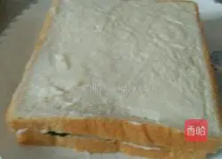 Sandwich Recipe Illustration 5