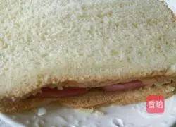 Cheese and ham sandwich recipe 11