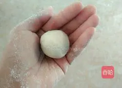 Illustration of how to make fancy dumplings 10