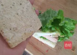 Illustration of how to make ham and egg sandwich 9