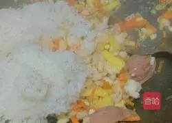 Assorted Fried Rice Recipe Illustration 3