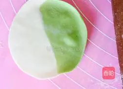 Fungus Illustration of making mushroom dumplings 9