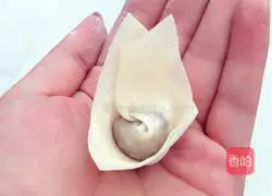 Illustration of how to make pork wontons 11